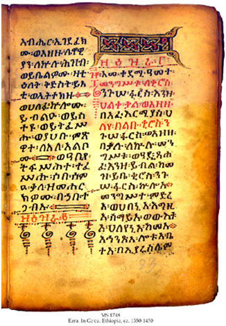 Ethiopian orthodox books in amharic